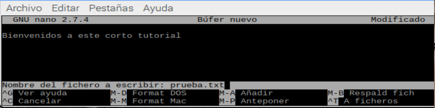 Editor NANO de Linux
