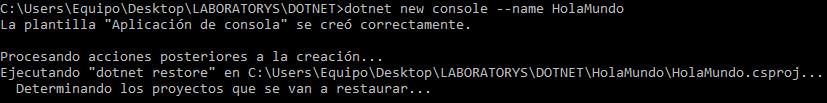 Consola de nuevo proyecto en dotnet